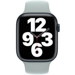 Apple watch 45mm succulent solo loop size 12, New