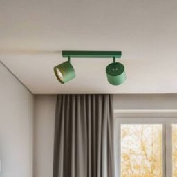 Chloe adjustable 2-bulb downlight, green Argon, dimmable, Green, Living / Dining Room, metal, Modern, Ceiling Light