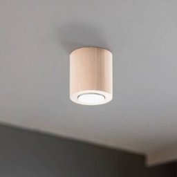 Wooden Ceiling Light Eve TK Lighting, dimmable, Light wood, Living / Dining Room, Wood, Ceiling Light