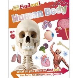DKfindout! Human Body – Interactive Visual Guide to Anatomy & Science for Kids