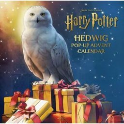 Titan Harry Potter Advent Calendar, Advent Harry Potter Calendar, Hedwig Pop-up An Interactive Holiday Gift for Kids Ages 9+ Years Ideal for Christmas Fun a