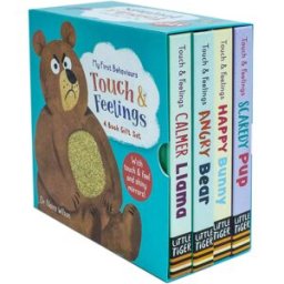 Little Tiger Press My First Behaviours Touch Feelings 4 Books Gift Box Set By Naira Wilson - Ages 0-5 - Board Book