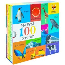 Fox Eye Publishing My First 100 Words Box Set 4 Board Books Collection Set (Words, Animals, Colours, Shapes and Numbers, Letters and Phonics)