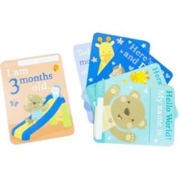 Little Tiger To Baby, With Love (16 Baby Milestone Cards)