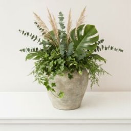 Rustic Glazed Dora Jug Vase - 19cm Material: Home Decor & Accessories/Vases & Jugs