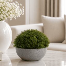 Faux Hebe Globe in Stone Pot