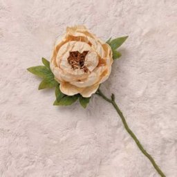 Faux Oyster Dried Touch Closed Peony Single Stem Floral