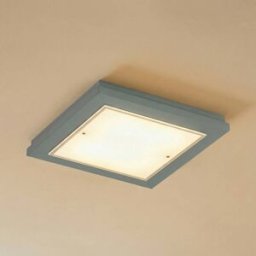 Ceiling Light Tally Argon, Green, Hallway, Wood, Ceiling Light