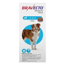 Bravecto For Large Dogs 20-40kg (44 To 88lbs) Blue 2 Chews