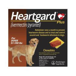 Heartgard Plus For Large Dog 22-45 Kg (51 To 100lbs) Brown 6 Chews