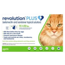 Revolution Plus For Large Cats 11-22lbs (5-10kg) Green 6 Pack