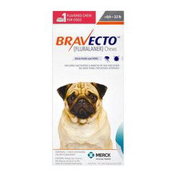 Bravecto For Small Dogs 9.9-22lbs (Orange) 2 Chews