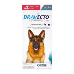 Bravecto For Large Dogs 44-88lbs (Blue) 1 Chew