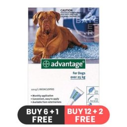 Advantage Extra Large Dogs over 55 lbs (Blue) 4 Doses