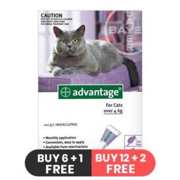 Advantage Cats over 10lbs (Purple) 4 Doses
