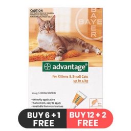 Advantage for Kittens & Small Cats 1-10lbs - 4 Doses