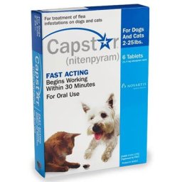 Capstar For Cats 2 - 25 Lbs 6 Tablet