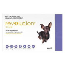 Revolution Very Small Dogs 5.1-10 Lbs (Purple) 6 Doses