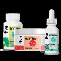Day One Bundle