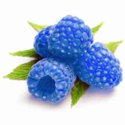 Flavor West Blue Raspberry 10ml Concentrated Flavor for Eliquid Self Mixing