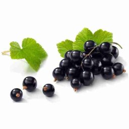 Blackcurrant 10ml Concentrated Flavor for Eliquid Self Mixing