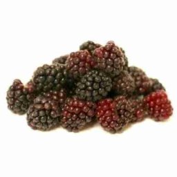 Flavor West Boysenberry 10ml Concentrated Flavor for Eliquid Self Mixing