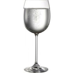 Bohemia Natalie White Wine Glasses 260ml Box of 6