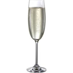 Bohemia Natalie Champagne Glasses 190ml Box of 6