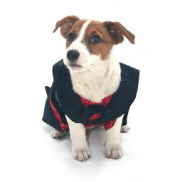 Men's evening formal Tuxedo (For dogs)