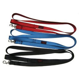 Perfect Length Webbing Dog Leads