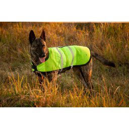 Breathable Reflective Jogger Jacket - Walker Vest