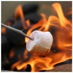 Flavor West Toasted Marshmallow 10ml Concentrated Flavor for Eliquid Self Mixing