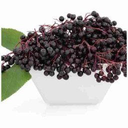 TFA / TPA ElderBerry 10ml Concentrated Flavor for Eliquid Self Mixing