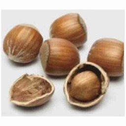 Flavor West Hazelnut 10ml Concentrated Flavor for Eliquid Self Mixing