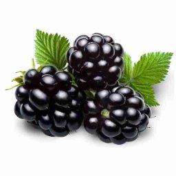 BlackBerry 10ml Concentrated Flavor for Eliquid Self Mixing