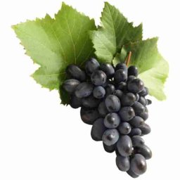 Grape 10ml Concentrated Flavor for Eliquid Self Mixing