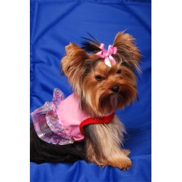 Yorkie Party Dress
