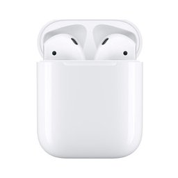 Apple AirPods 2 with Charging Case