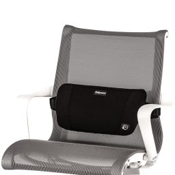 PlushTouch™ Lumbar Support