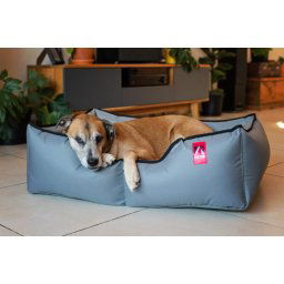 Jake's Sleeper Couch (Large Breed)