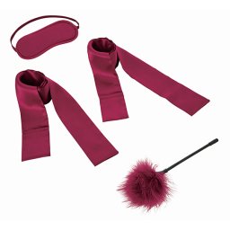 Sportsheets - Sex & Mischief Enchanted Starter Kit