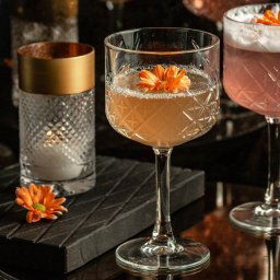 6 Degrees East Heirloom Edible Flowers Seeds - Winter Gin, Cocktail and Salad Garnish Mix