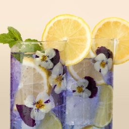 6 Degrees East Heirloom Edible Flowers Seeds - Summer Gin, Cocktail and Salad Garnish Mix