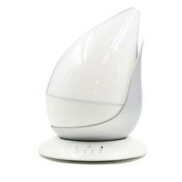 Atomiser Plastic