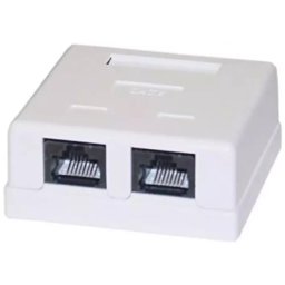 CAT6 Unshielded Dual RJ45 Network Connector Krone Type Surface Mount / Wall box
