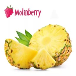 Funky Pineapple Molinberry Concentrate One shots 10ml
