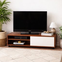 Bragg Adana TV Stand, Brown with White Door