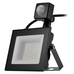 Switched Classic 30W LED Flood Light with Automatic Motion Sensor