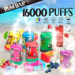 Rumbar Disposable Vape 16000 Puffs 50mg Nic Mango Peach 21 ml Tank USB C Rechargeable Battery
