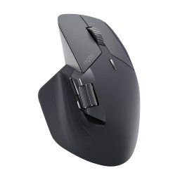 RAPOO / M760L - Large multi-mode wireless mouse Black